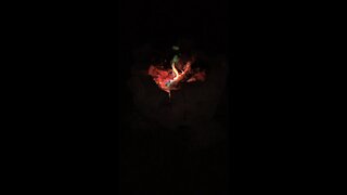 Colorful Campfire in Slo-mo