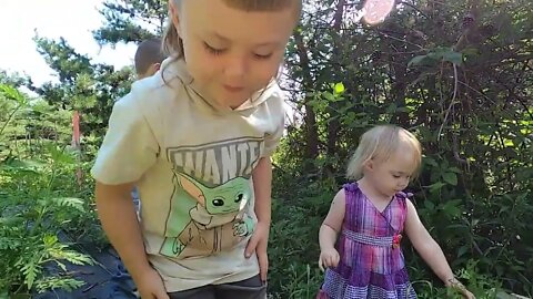 Can Kids These Days Work?? Tips On Raising Happy Homestead Helpers| Off-Grid Family Works Together