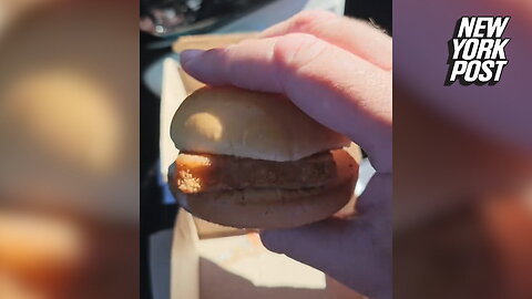 McDonald's Fish sandwiches aren't getting smaller despite "shrinkflation" claims