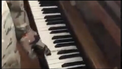 Video Allegedly Shows Ukrainian Nazi Playing Piano to Crowd of Hostages