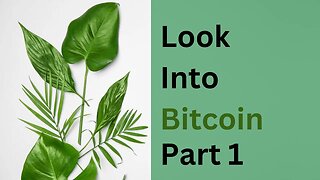 A Look Into Bitcoin: Analytical Charts to Increase Your Profits (Part 1)