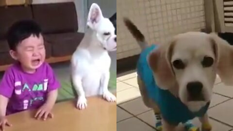 Funny baby cut dog