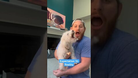 Dog Reactions to Chiropractor