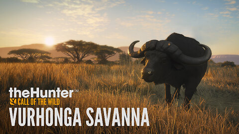 Let's go hunting in the Savannah! The Hunter Call of The Wild