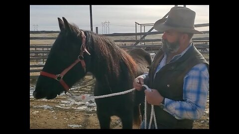 Winter Horse Worming