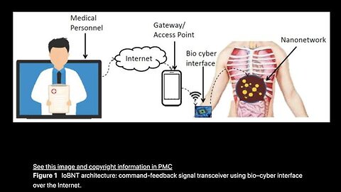 MAC Id's in Human Bodies - It's for your health