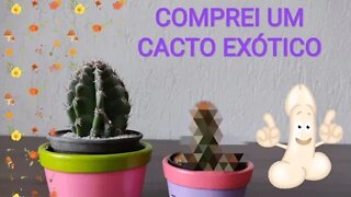 COMPREI UM CACTO EXÓTICO 🤭😋😂