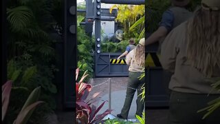 Universal studios raptor encounter #shorts