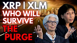 XRP | XLM 😱 UTILITY BULL RUN! MASSIVE REGULATION! WHAT PROVIDE UTILITY