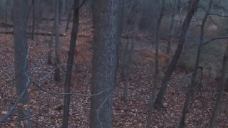 2022 Hunting Vlog 8. Have to Let a Big Buck Walk Past Me.