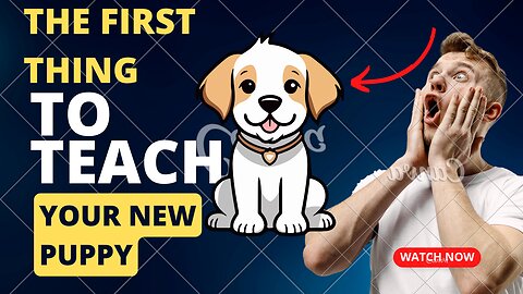NEW PUPPY SURVIVAL GUIDE: The FIRST things to Teach your NEW PUPPY!