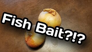 Can You Use Yellow Onions To Catch Catfish?!? {A Fun Experiment}