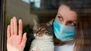 Cat Owners May Have Higher Immunity for COVID-19
