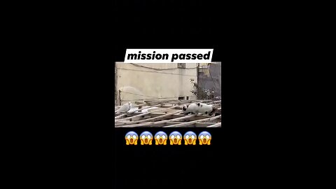 Mission Passed 😂😂😂😂😂😂😂