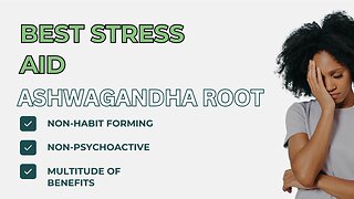Ashwagandha Root Benefits And Uses Best Stress Aid Supplement
