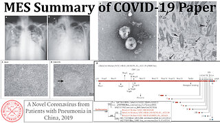 MES Summary of Main Paper on COVID-19 "Virus" Isolation