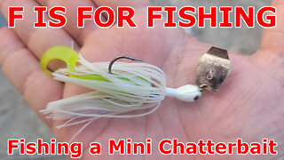 Fishing a Mini Chatterbait