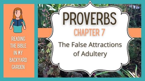 Proverbs Chapter 7 | NRSV Bible