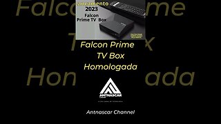 Falcon Prime Tv Box Homologada