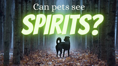 Ep 22 | Can Pets See Spirits?