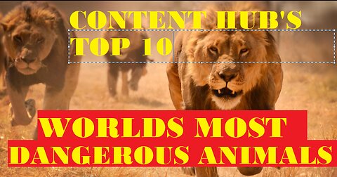 Top 10 Worlds Most Dangerous Animals