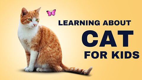 Learning About Cat for Kids