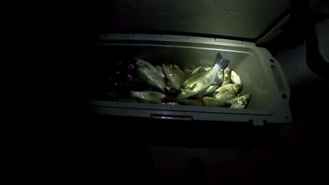 Crappie jigging, to green light fishing at night. Limit of white bass, sand bass