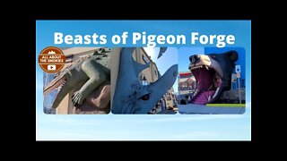 Beasts of Pigeon Forge - Beach Style Gift Shops