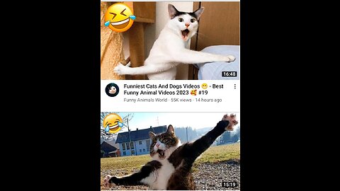 Funny cat ❤️ don't laugh #shortng this sound Channel Avatar @wonderfulcreature SUBSCRIBE