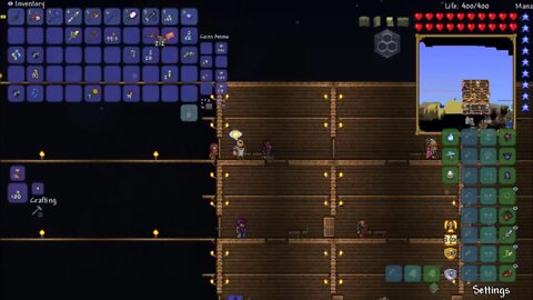 Modded Terraria: Step into the Arena!