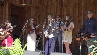 The Loose Strings Band - Carolina in the Pines