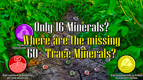 Sizzling Minerals Video 1