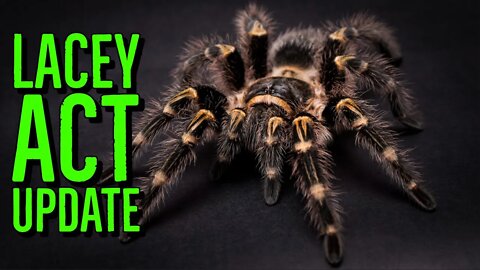 IMPORTANT! NEW Exotic Pet Ban Lacey Act UPDATE w/ USARK