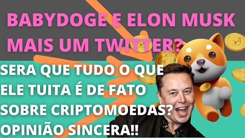 #babydoge e #elonmusk, mais um twitter? Será que tem relação? - 113