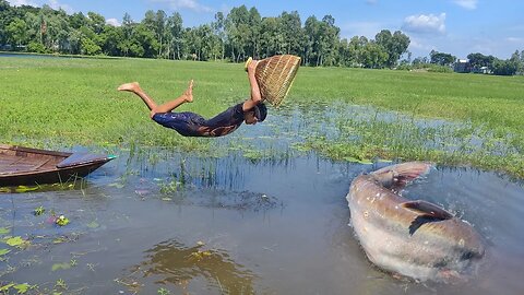 Best Fishing Video 2023! Unique Fish Catching