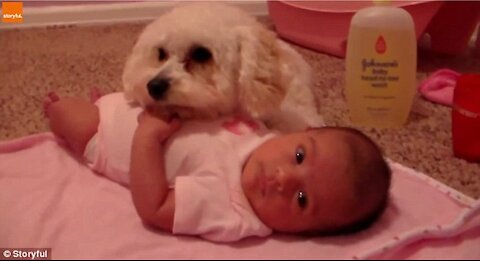 Adorable puppy protects baby from blow dryer