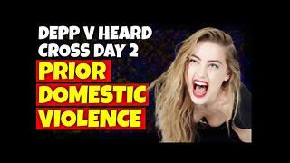 Amber Heard’s Prior DV Incident with Ex-Girlfriend told to the Jury.