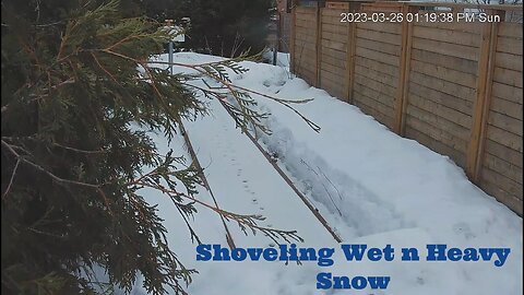 Shoveling Wet n Heavy Snow