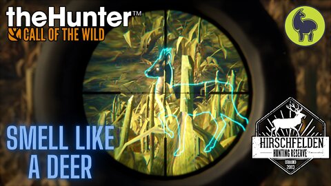 The Hunter: Call of the Wild, Sommer- Smell Like a Deer, Hirschfelden (PS5 4K)