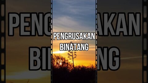 Pengrusakan binatang, kecelakaan dalam tambang dan sumur itu adalah tidak ada pertanggungannya