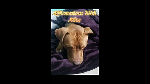 Affirmations With Atlas #1