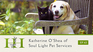 Katherine O’Shea of Soul Light Pet Services - Ep. 62 - The Healing Home