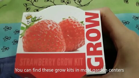 Grow Strawberries with Strawberry Grow Kit =)