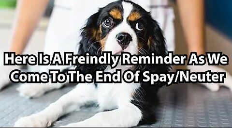 Here Is A Freindly Reminder As We Come To The End Of Spay/Neuter