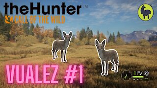 The Hunter: Call of the Wild, Vualez #1