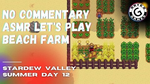 Stardew Valley No Commentary - Family Friendly Lets Play on Nintendo Switch - Summer Day 12