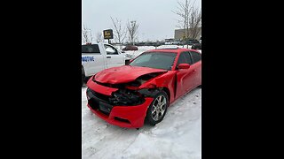 Hit a deer