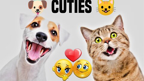 Funniest Cats And Dogs Videos 😂 - Part 3 😺| #Funny #Cat #Dog #Viral #Animal