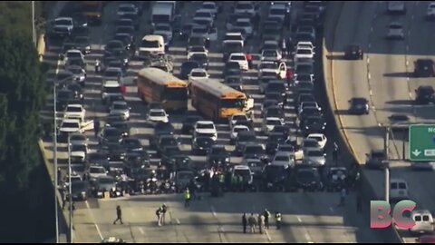 Fights Break Out, 75 Arrested As ‘Ceasefire’ Protest Shuts Down Major LA Freeway