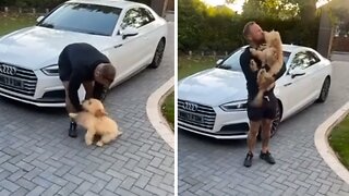 Ecstatic Pup Lovingly Welcomes Owner Home From Work